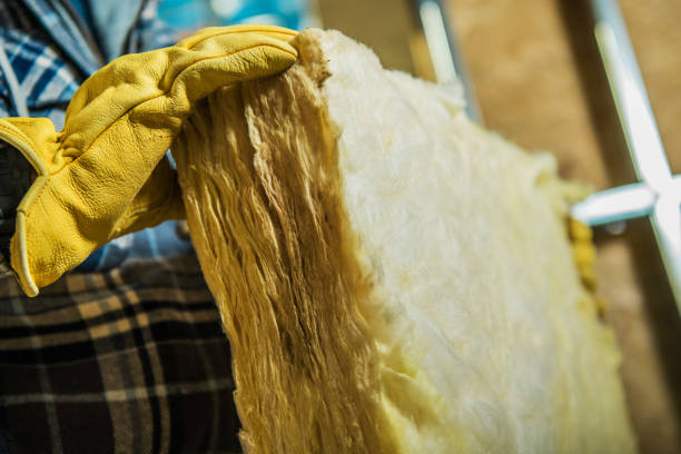 Best Types of Insulation in Ortonville, MN