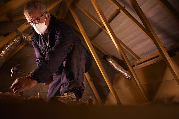 Best Specialty Insulation in Ortonville, MN